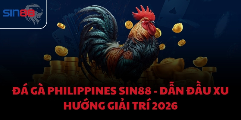 Đá Gà Philippines Sin88 - Dẫn đầu xu hướng giải trí 2026