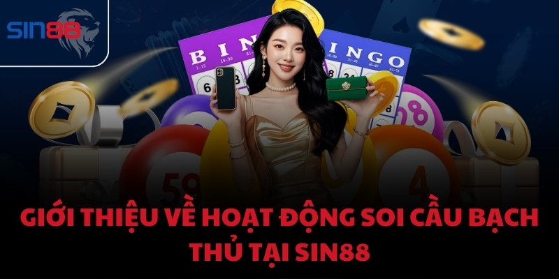 Giới thiệu về hoạt động soi cầu bạch thủ tại Sin88