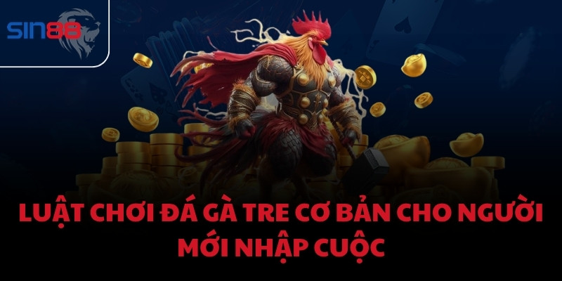 Luật chơi đá gà tre cơ bản cho người mới nhập cuộc
