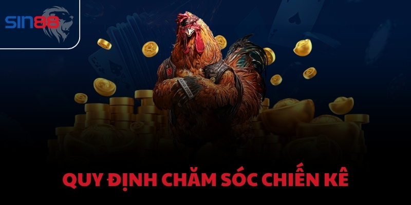 Quy định chăm sóc chiến kê
