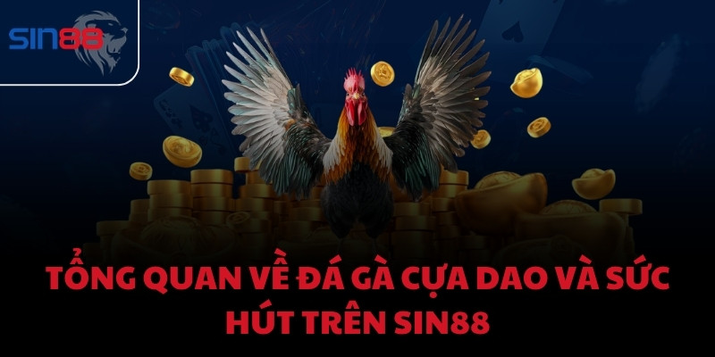 Tổng quan về đá gà cựa dao và sức hút trên Sin88